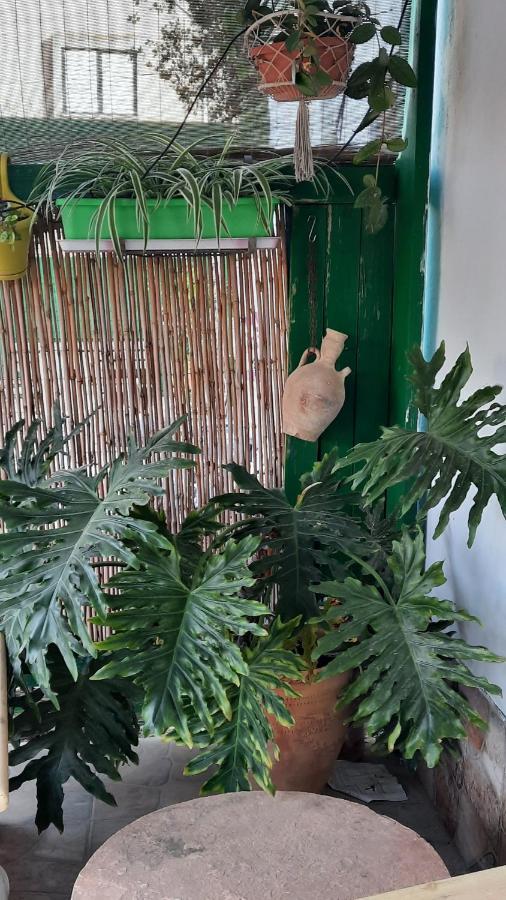 הבית הירוק - Green House Arad Exterior foto